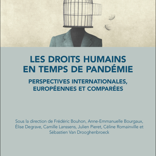Book cover: Les droits humains en temps de pandémie